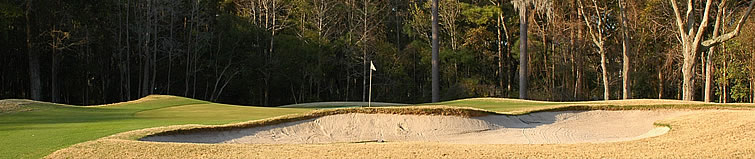 golf ball on tee